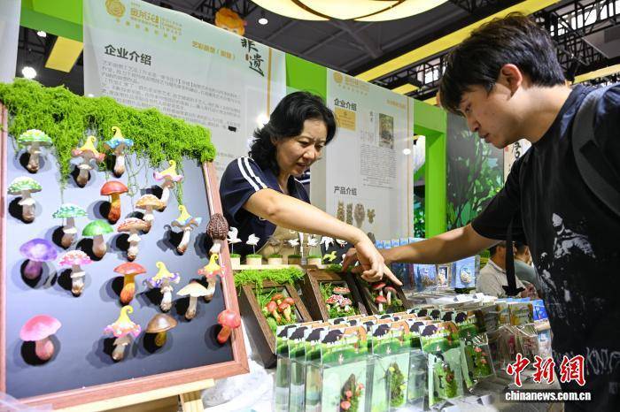 开幕 非遗文创助传统文化“出圈”pg电子免费模拟器游戏云南文博会(图3)
